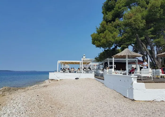 Marul * Zadar