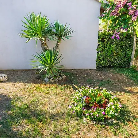 Apartament Marul *