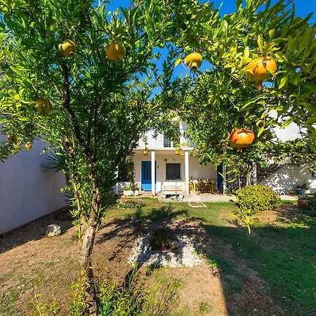 Marul Apartament