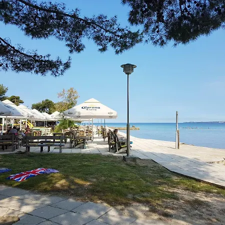 Marul Zadar